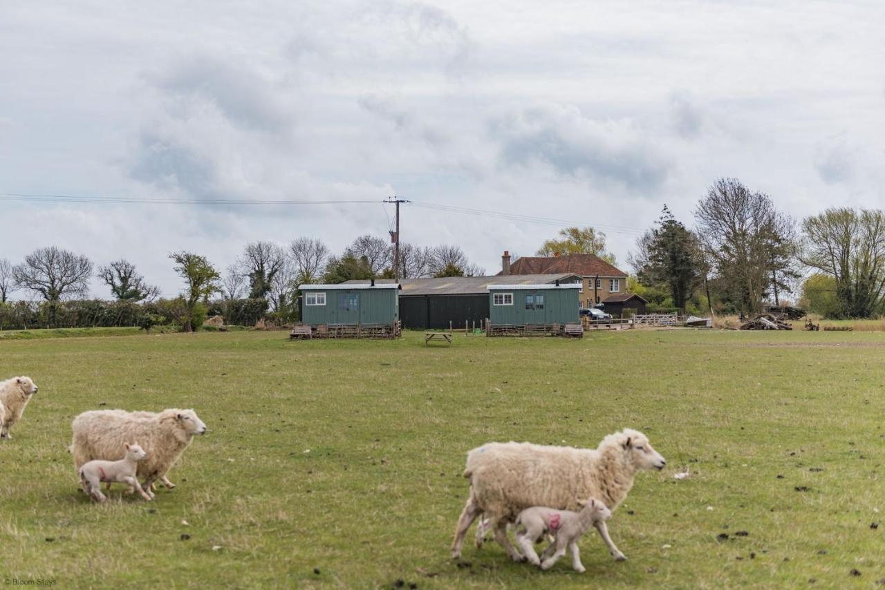 Romney Marsh Huts By Bloom Stays Ashford  Exterior foto
